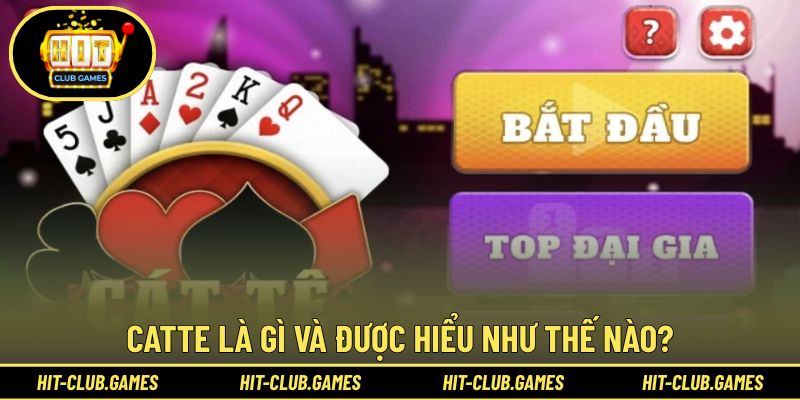 Catte là gì và được hiểu như thế nào?