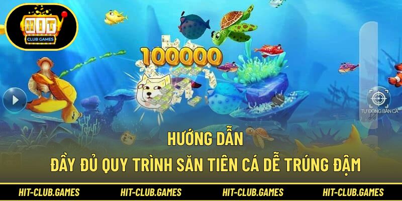 Hướng dẫn đầy đủ quy trình săn tiên cá dễ trúng đậm