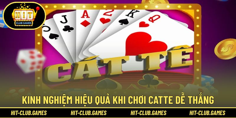 Kinh nghiệm hiệu quả khi chơi Catte dễ thắng