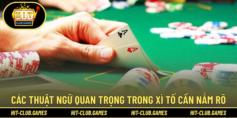 Tổng hợp các thuật ngữ quan trọng cần ghi nhớ