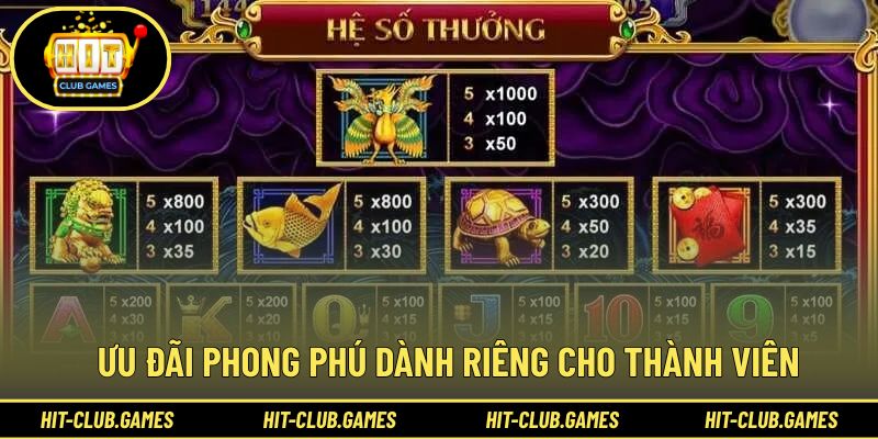 Ưu đãi phong phú dành riêng cho thành viên HitClub
